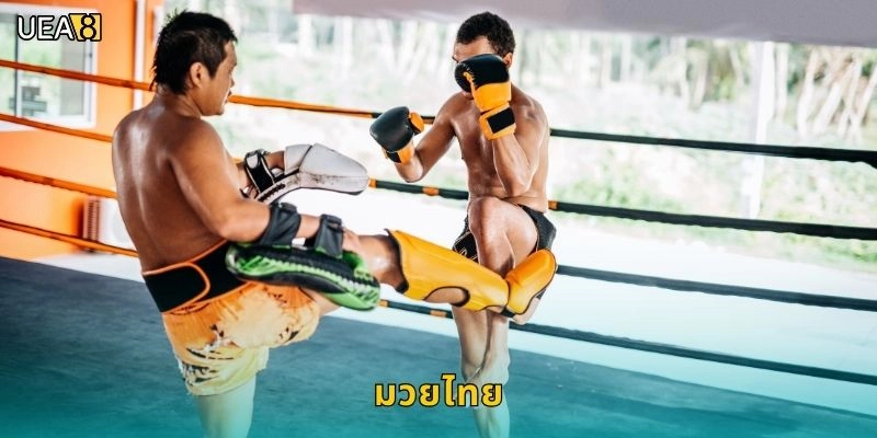 มวยไทยศิลปะแห่งชาติ: ร่วมเชียร์ – ชนะทุกศึกใน UEA8
